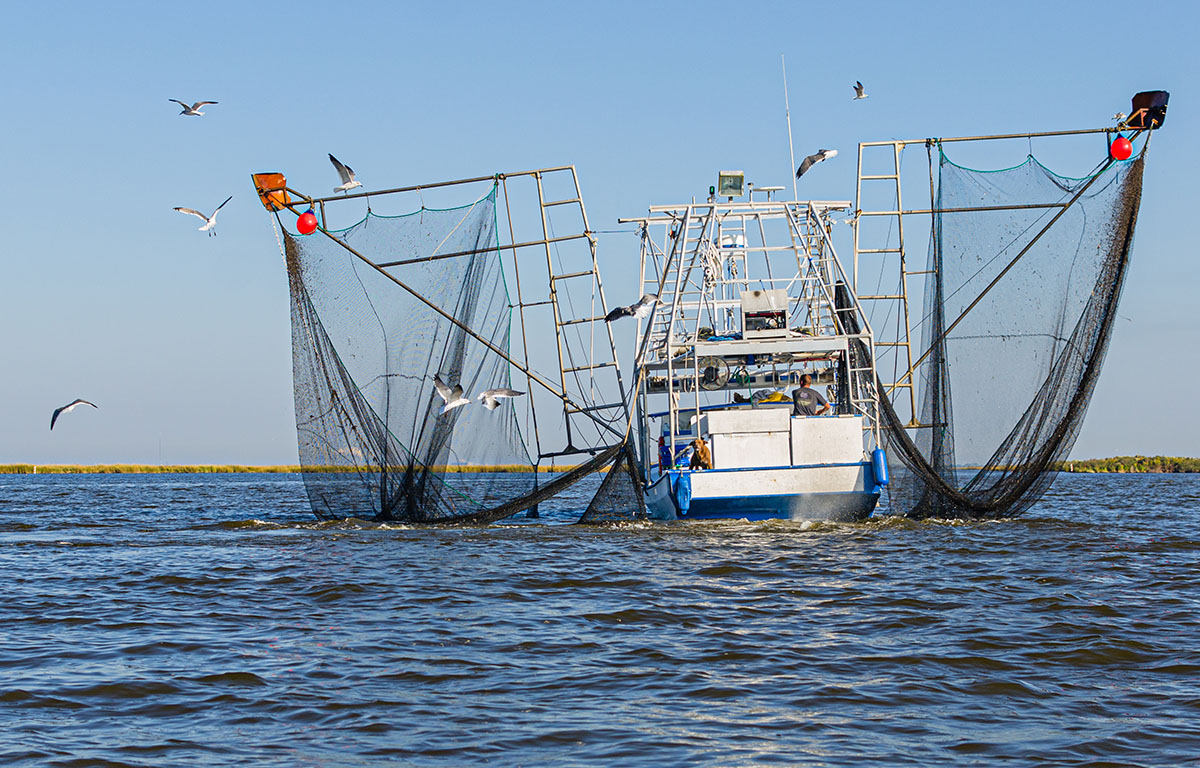 A shrimp boat in Louisiana