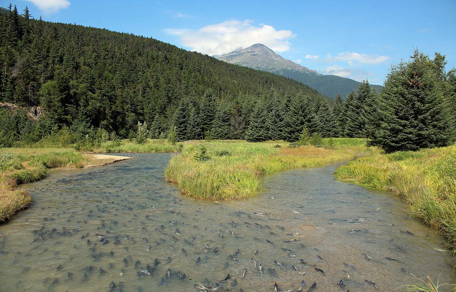 Alaska's Department of Natural Resources is discussing changes to the state's water reservation system