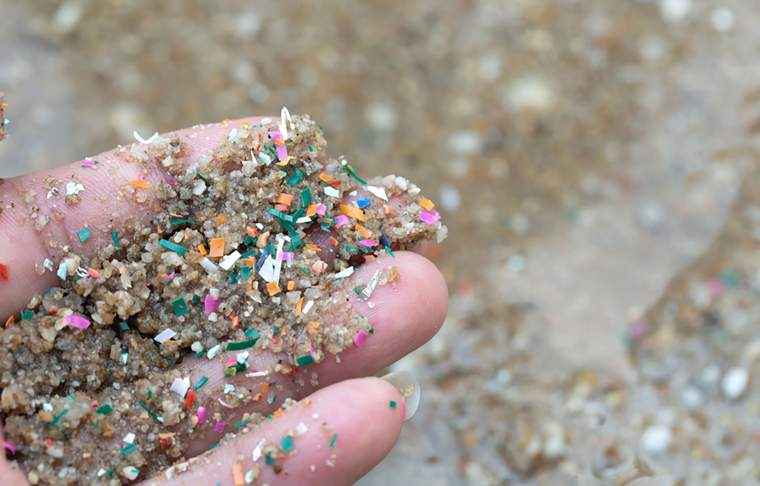 Research finds microplastics almost equally present in all protein types,  including seafood | SeafoodSource