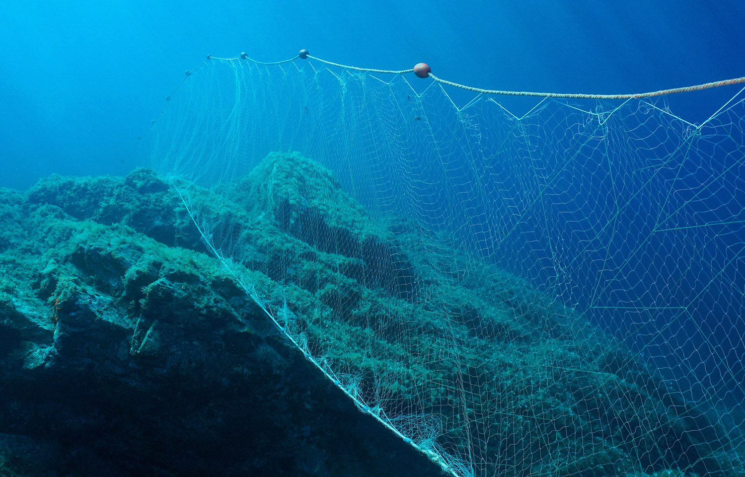 Proposed California bill would further limit gillnet fishing in