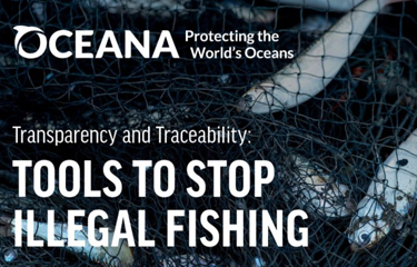 Electronic monitoring devices enhance safety at sea and traceability for  small-scale fishing fleets - Oceana Europe