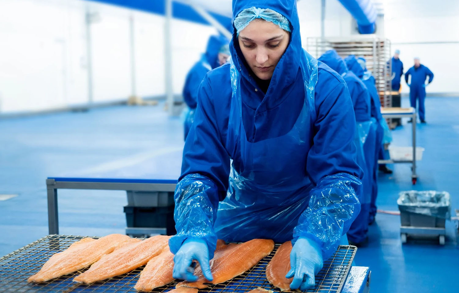 Processing of Norwegian salmon
