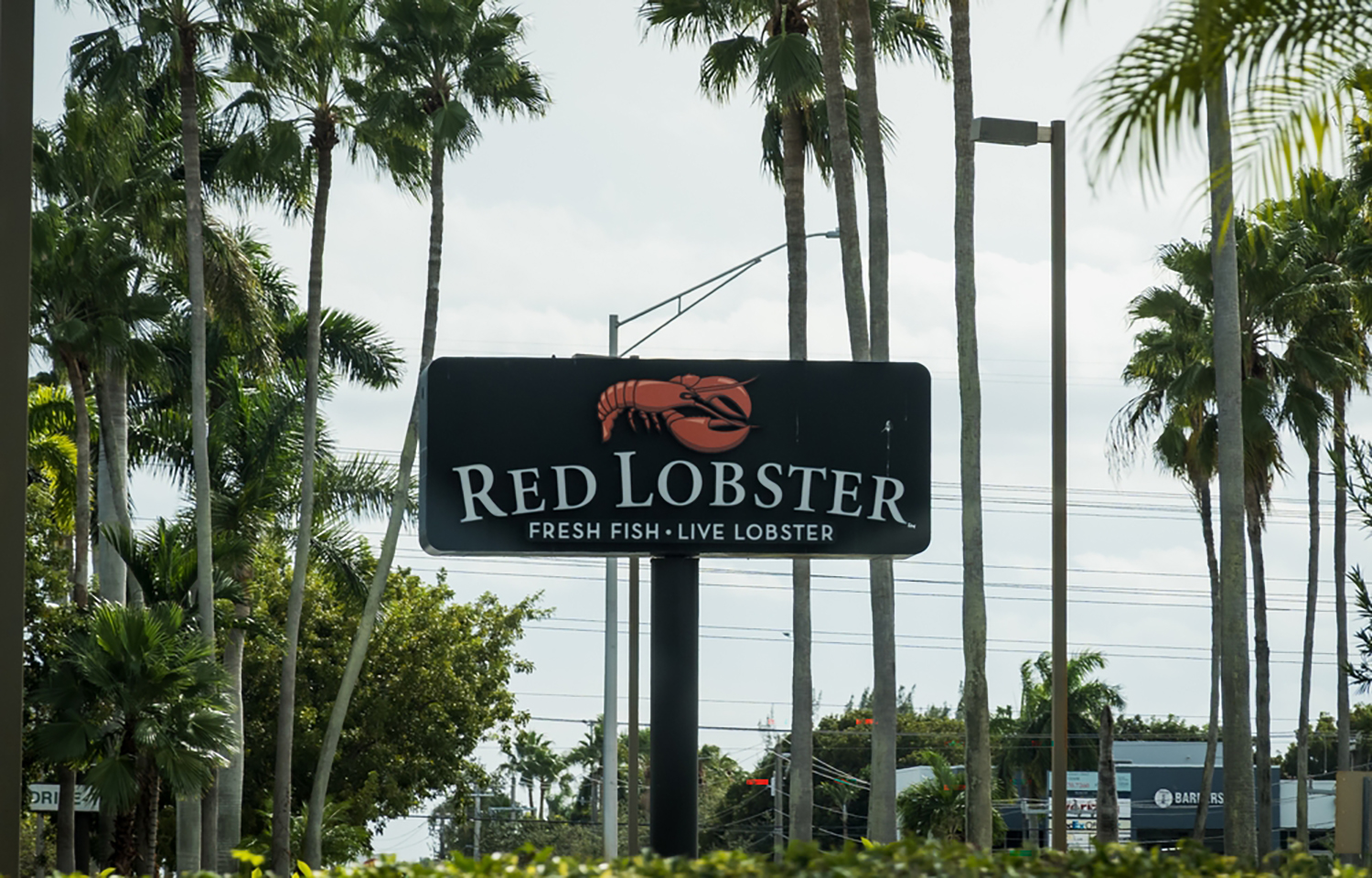 A Red Lobster sign outside a Miami, Florida, U.S.A. location