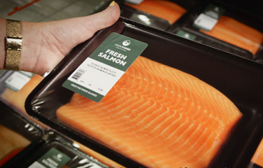 Gøta, Faroe Islands-based salmon-farming firm Hiddenfjord is celebrating the one-year anniversary of ceasing its use of air freight to transport its fish