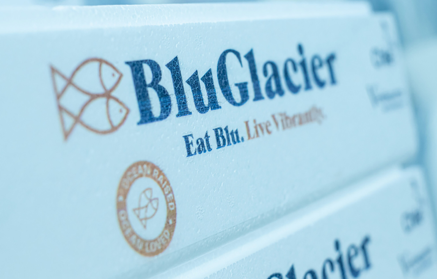 A box of BluGlacier brand salmon