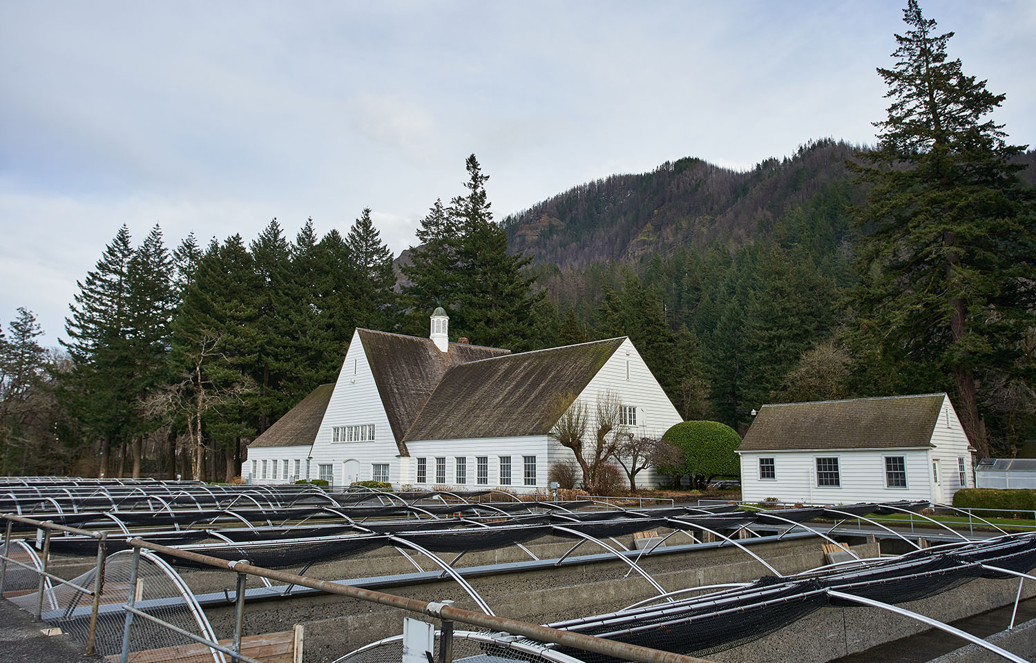 The Bonneville Fish Hatchery in the Columbia River