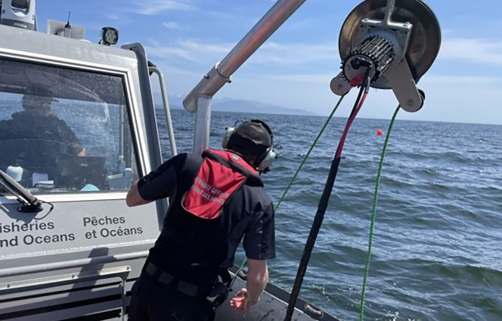 DFO investigating gear