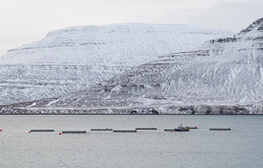 An aquaculture facility located in Iceland near a snowy mountainous coastline.