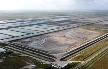 Trans American's shrimp farm in Rio Hondo, Texas.
