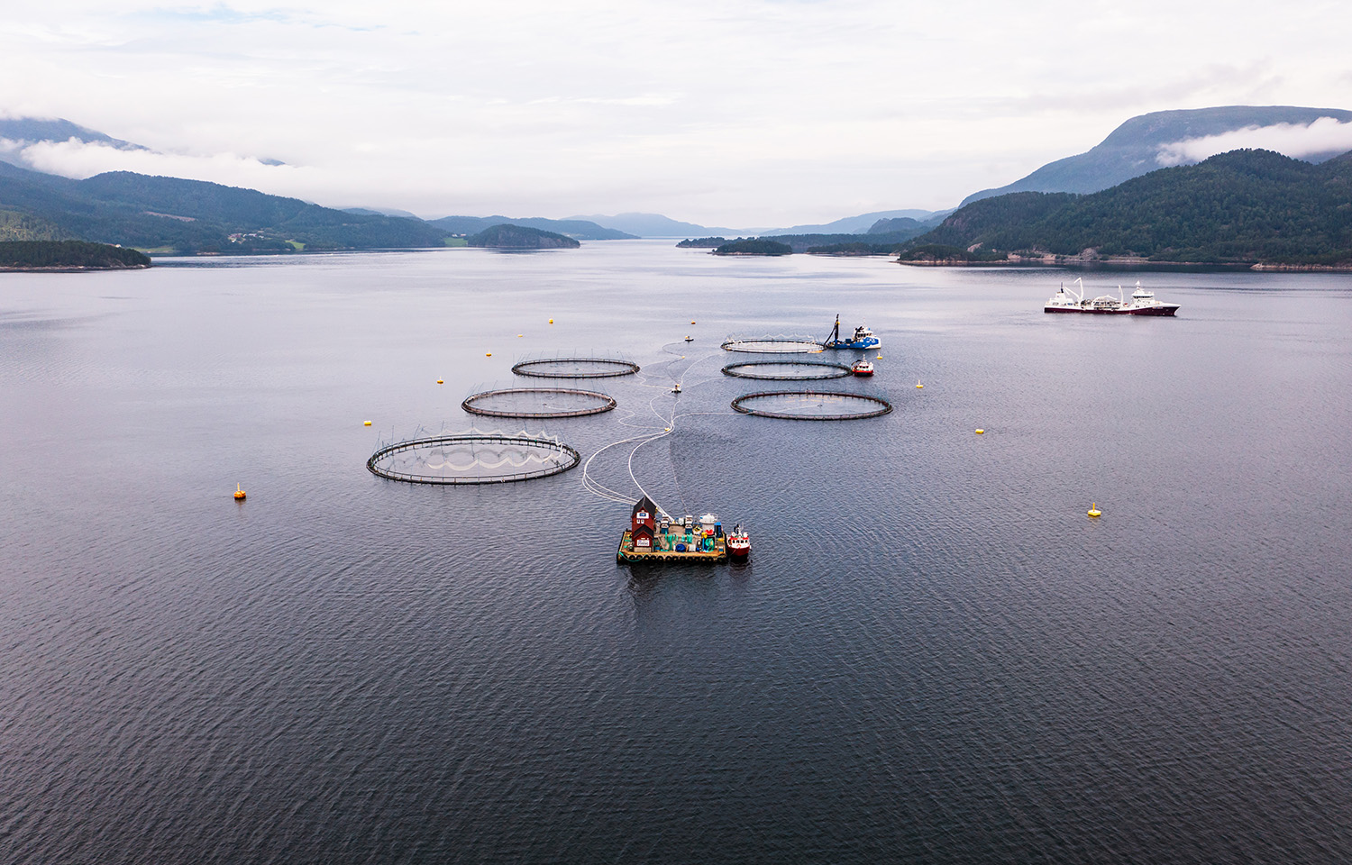 salmon cages in Norway