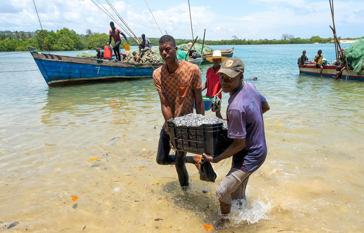 Rights group calls for probe into security forces killing fishers in Mozambique