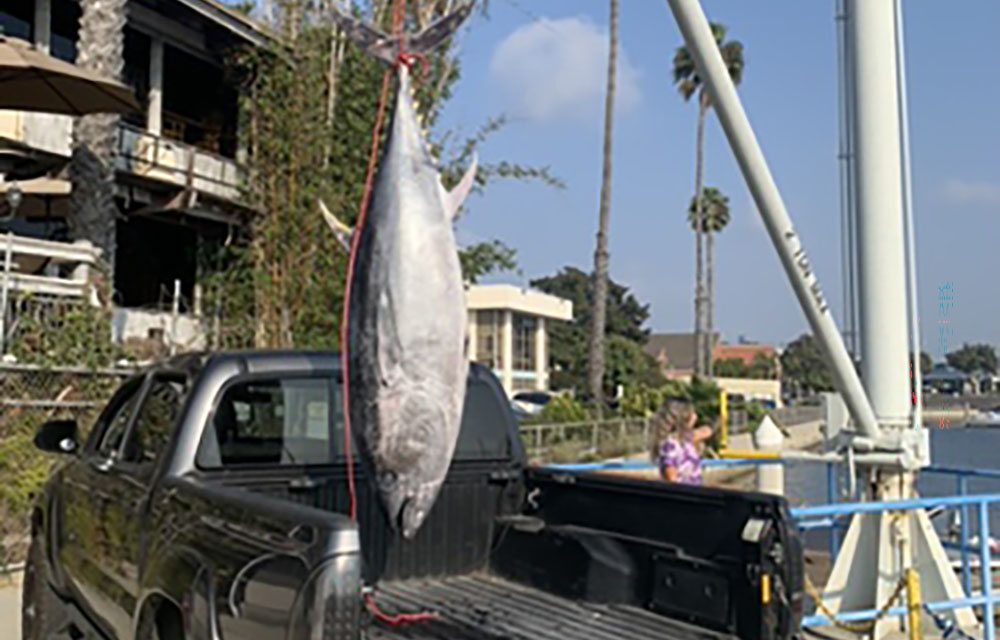 California seafood restaurant fined for violating commercial fishing laws