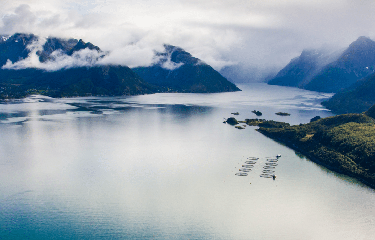 This is Salmon Farming - Salmar