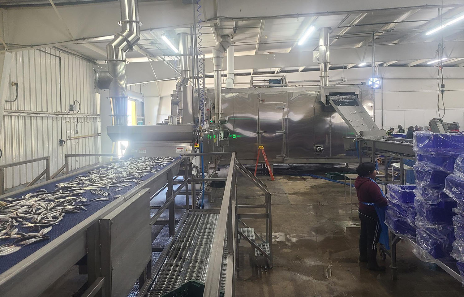 Del Mar Seafoods' new expanded facility