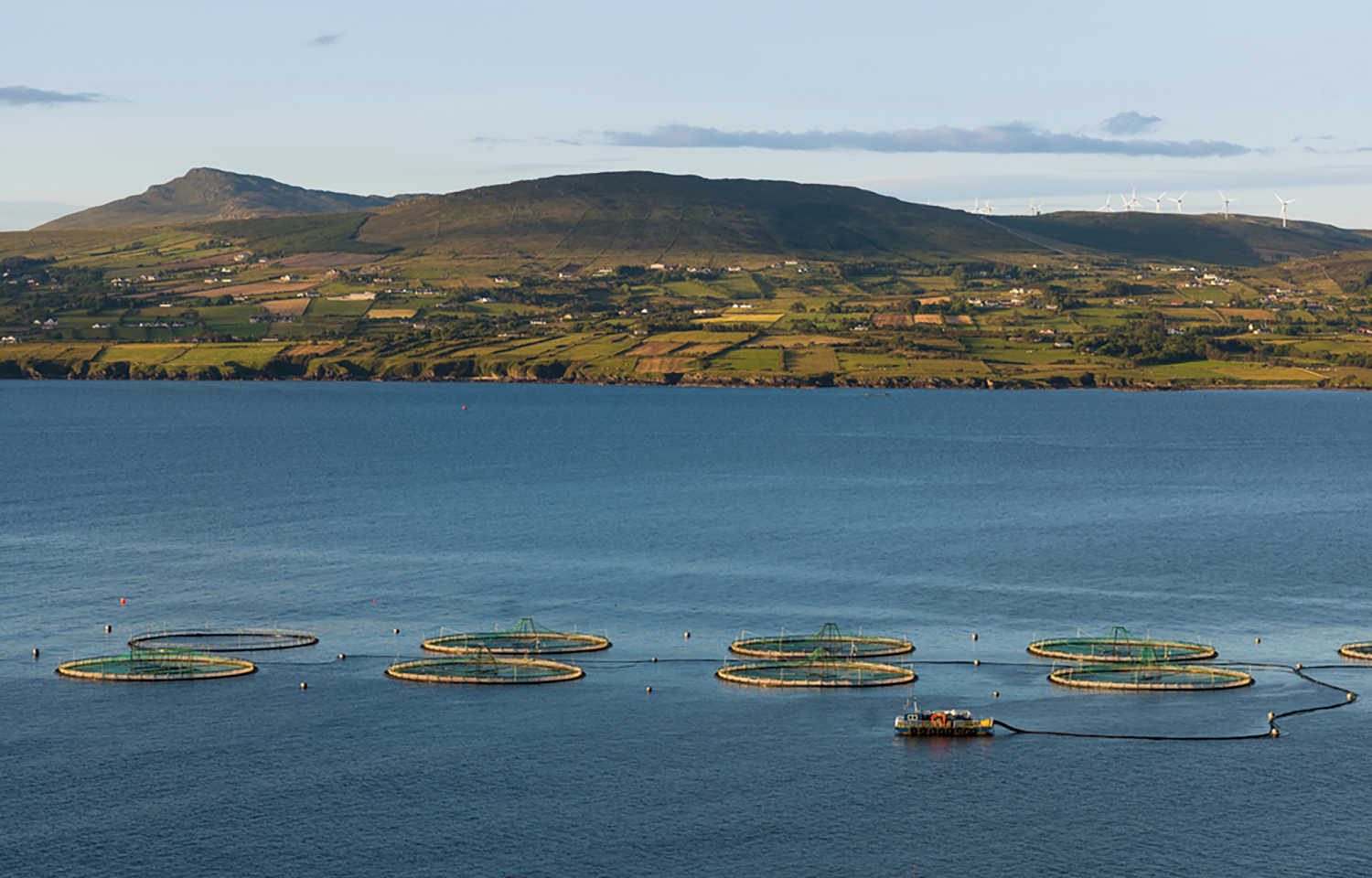 A salmon farm off the coast of Donegal, Ireland