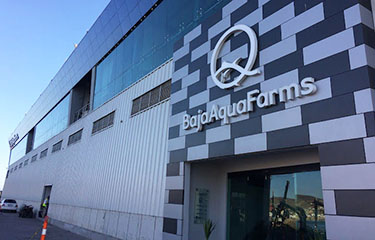 Baja Aqua-Farms' headquarters in Ensenada, Mexico.