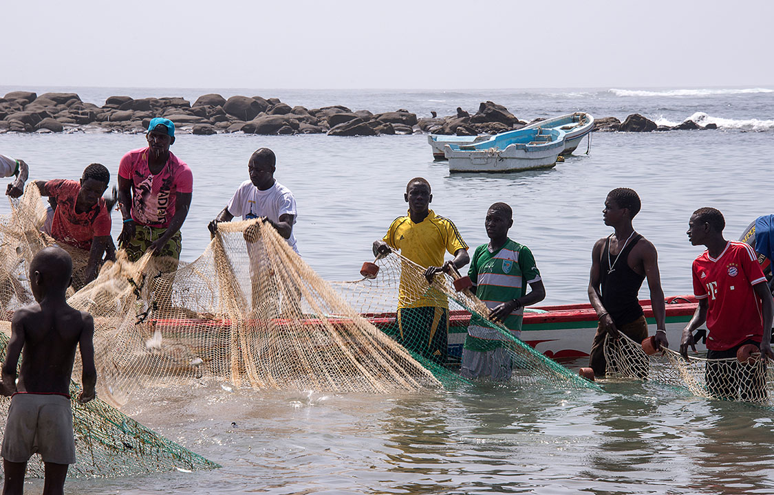 European Commission issues yellow card to Senegal over lack of action against IUU | SeafoodSource