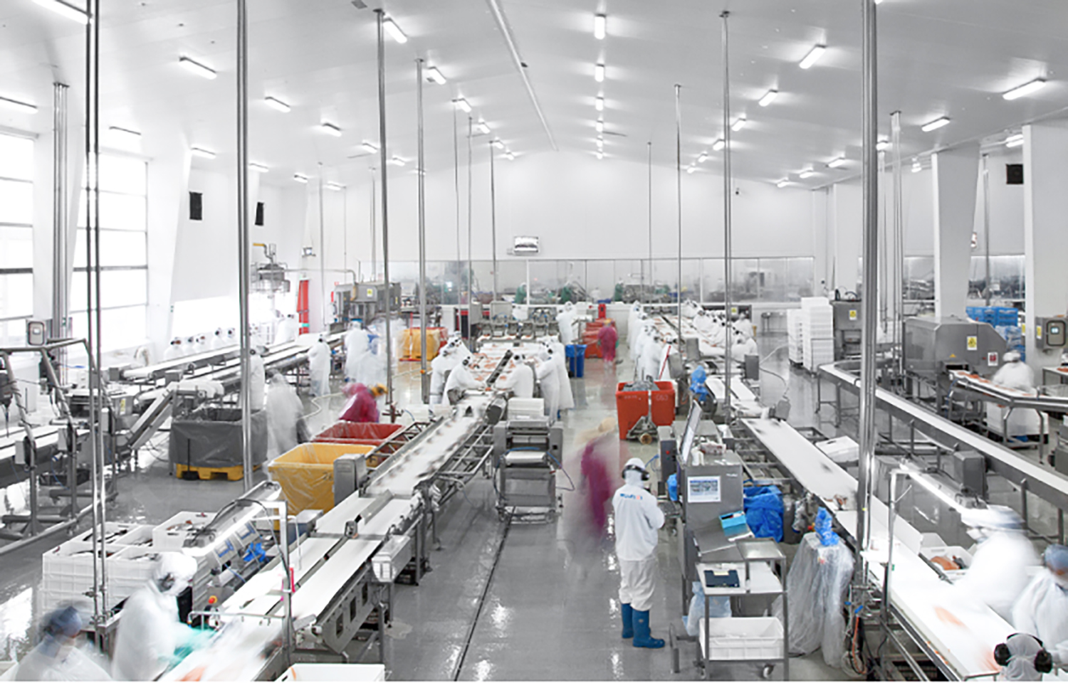 A Multi X processing facility