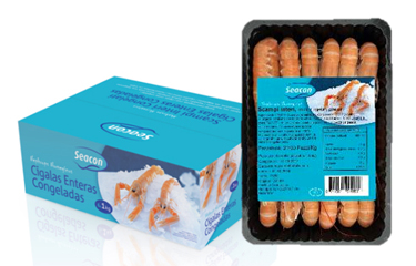 Urk, The Netherlands-based Seafood Connection has established a joint venture with Agrofish Italia with the goal of repositioning itself in the Italian seafood market.