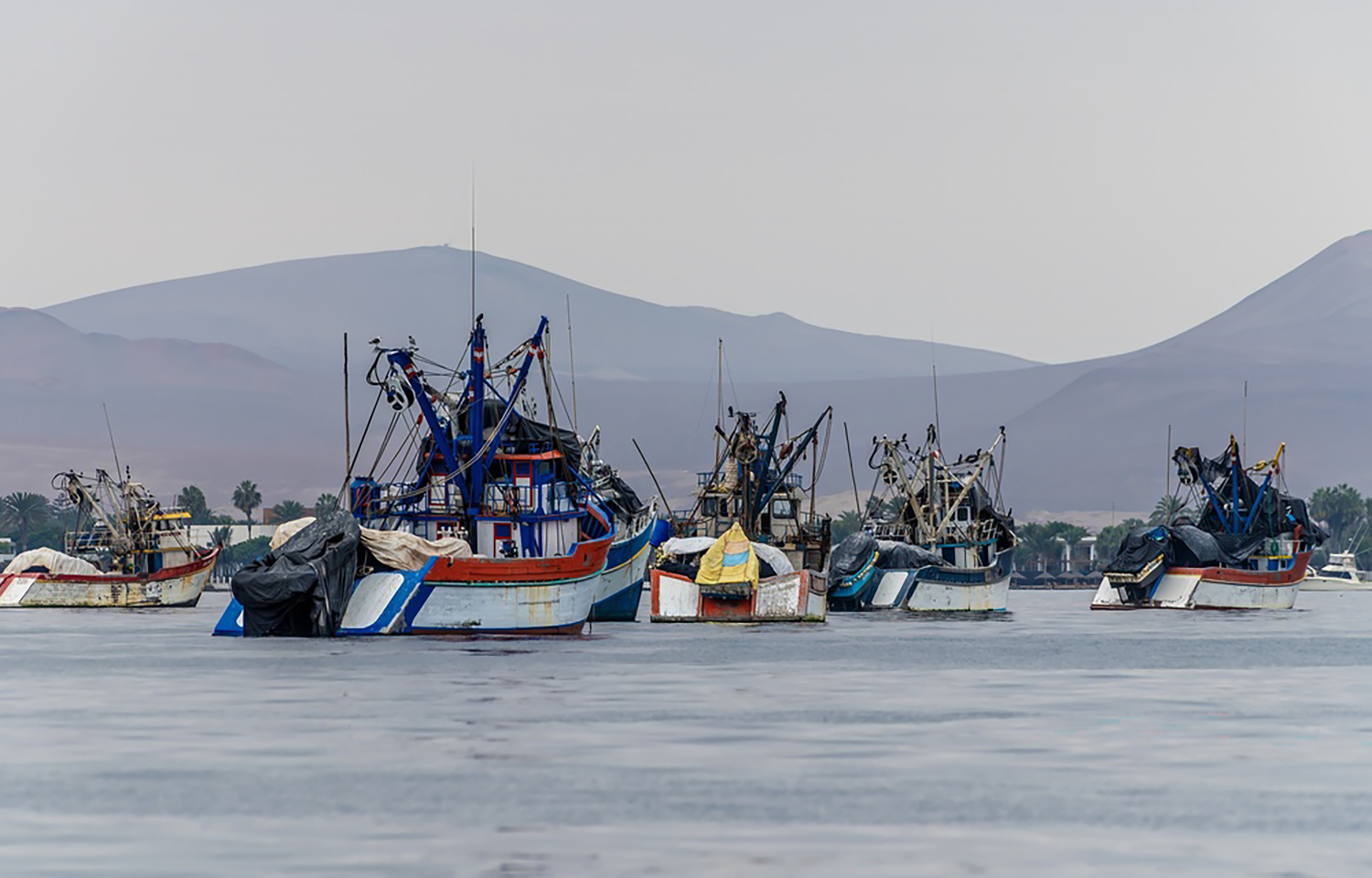 Fishing vessels in Paracas, Peru