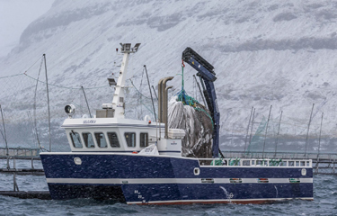 Bakkafrost Group has posted total operational earnings before interest and taxes (EBIT) of DKK 70.5 million (USD 11 million, EUR 9.5 million) for the third quarter of 2021.