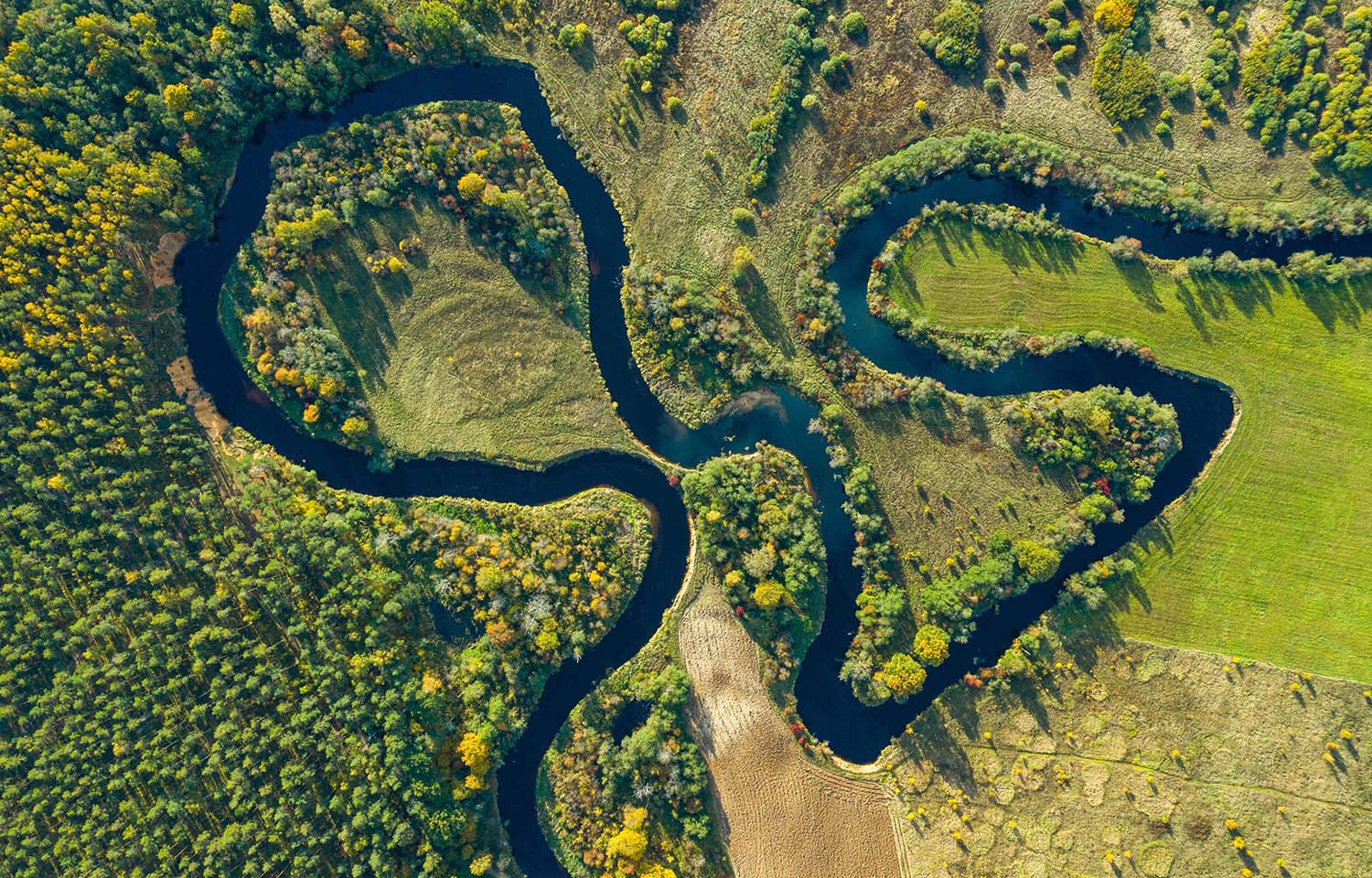 Irish water management solutions firm Aquatic Harvesting develops machine to improve wild salmon breeding