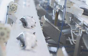 Increased production capacity helped SalMar ASA to produce a record high volume of 56,400 metric tons (MT) in the fourth quarter of 2021.