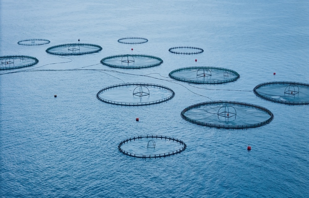 Hundreds sign letter urging US lawmakers to oppose offshore aquaculture legislation