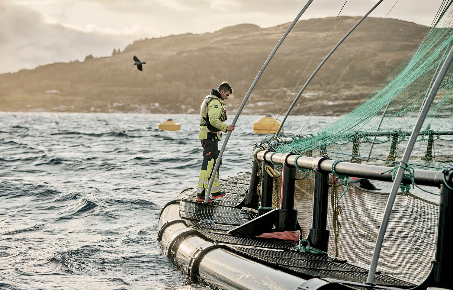 Grieg posts solid Q2 performance, outlines plans for more focused future after Cermaq deal