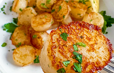 Mind Blown scallop analogs