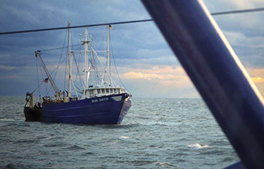 A Blue Harvest vessel at sea.