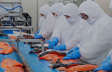 An Australis processing plant.