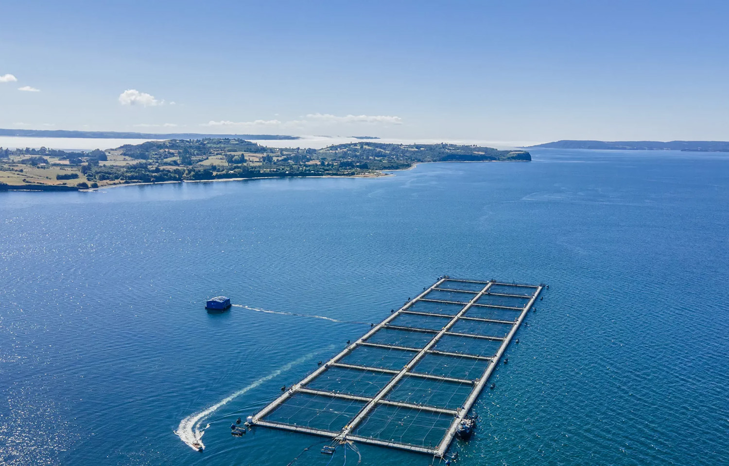 A Chilean salmon farm