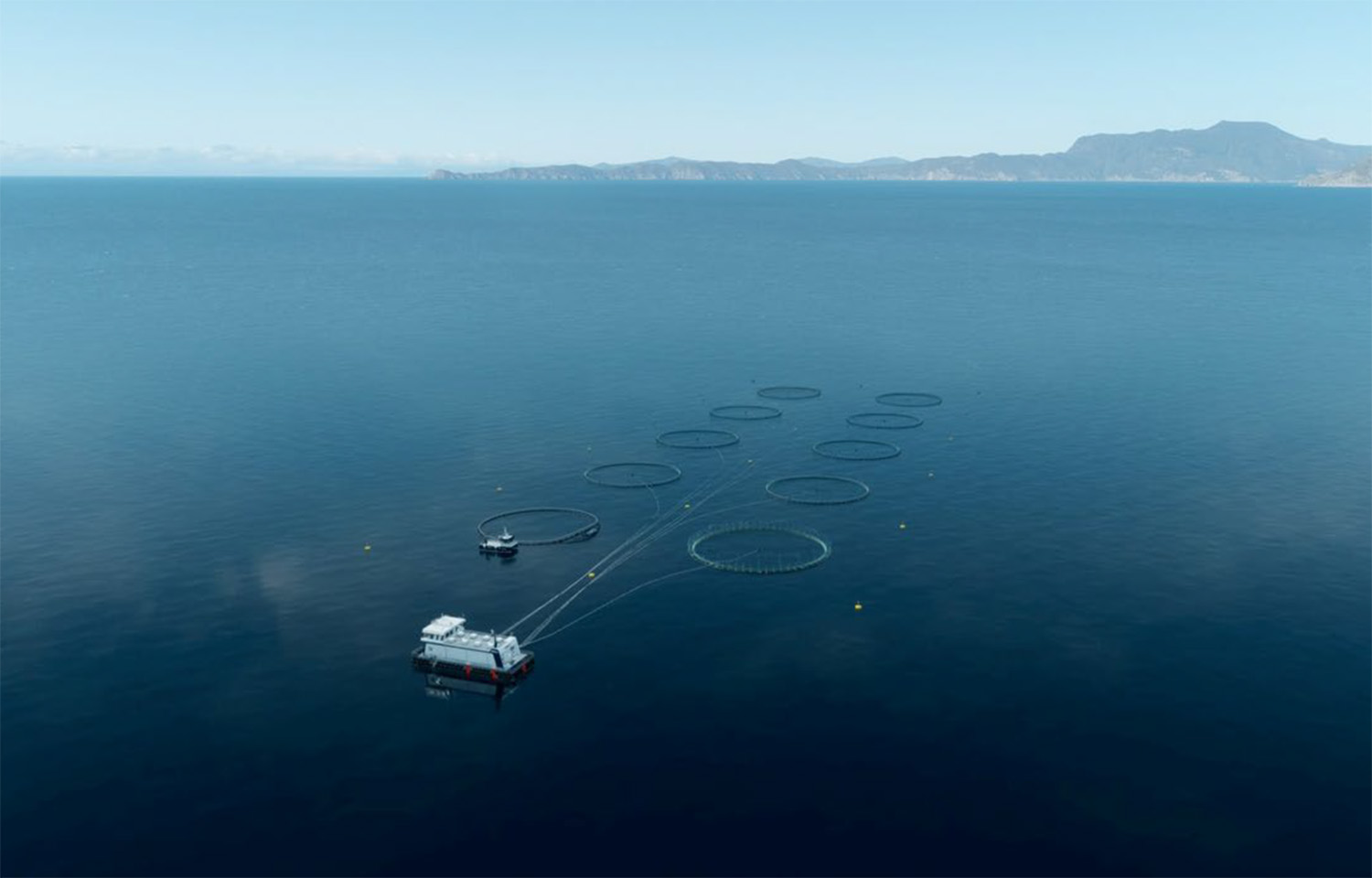 An aerial view of New Zealand King Salmon's salmon net pens in calm ocean waters