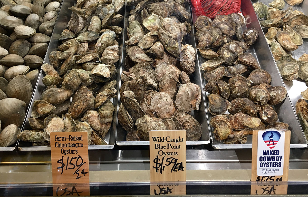 An array of oysters for sale in a U.S.-based seafood market