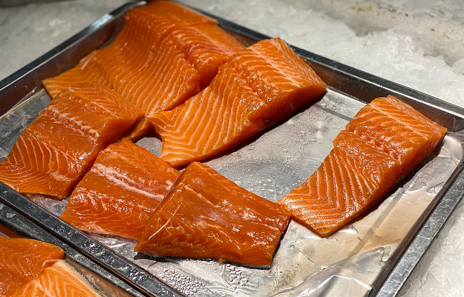 salmon fillets