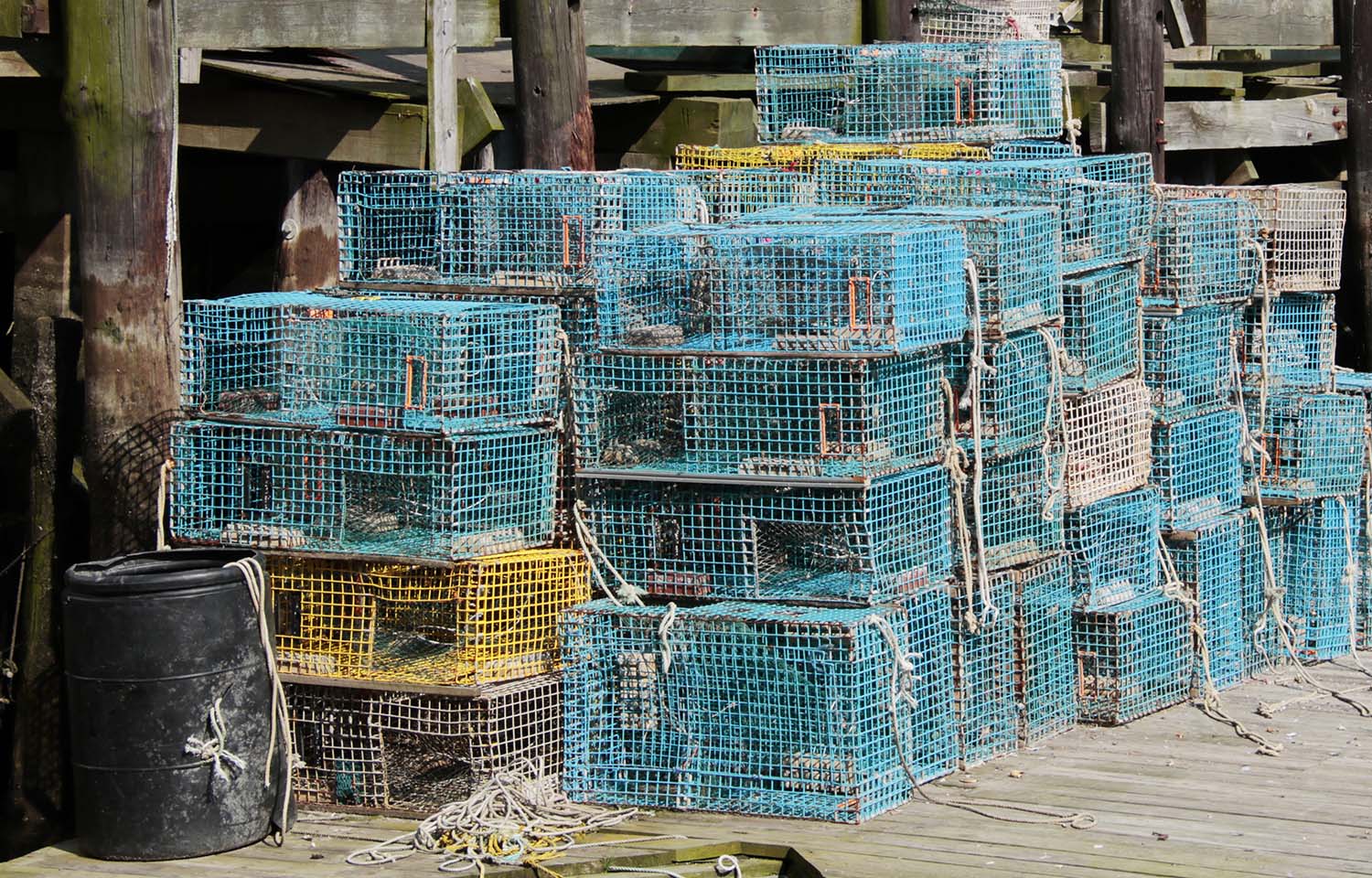 Maine lobster traps