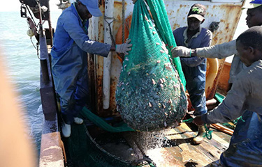 A photo of workers onboard a China Ocean Group fishing vessel.