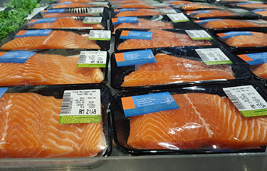 Norway salmon packages