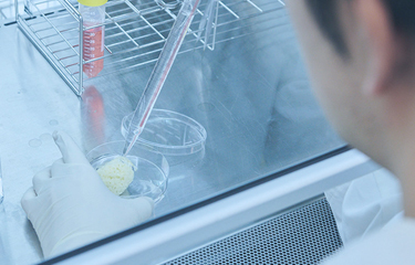 Maruha Nichiro will jointly research cell-cultured fish meat with IntegriCulture Co., the creator of the trademarked CulNet System.