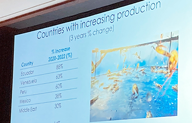 A graph listing the huge increases in shrimp production in select South and Central American countries.