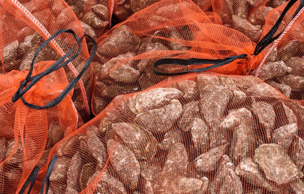 Louisiana resident cited for buying, shucking, and reselling oysters without a commercial license