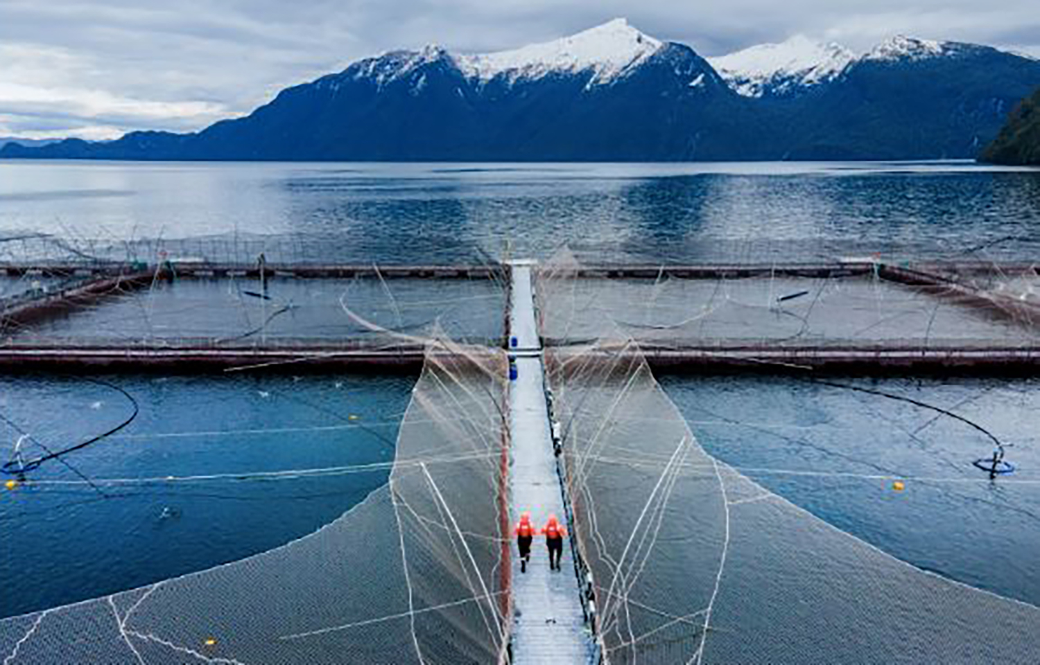 A Cooke Aquaculture farm in Chile