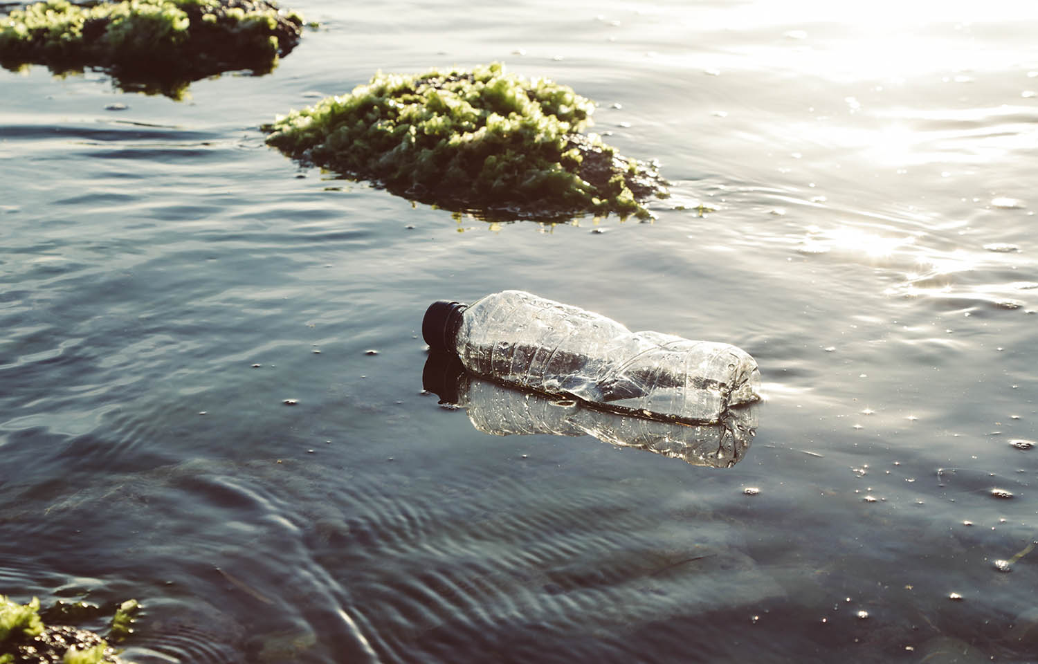 a plastic water bottle floating in water
