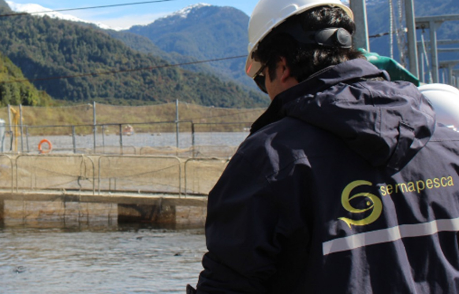 A Sernapesca working at a Chilean salmon net pen