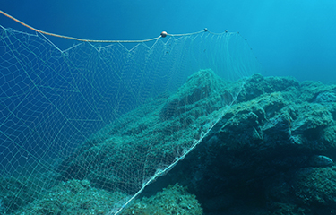 US Senate approves drift gillnet ban again
