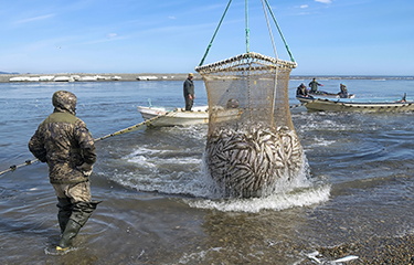 Russian fishery workers push to stop quota-investment program