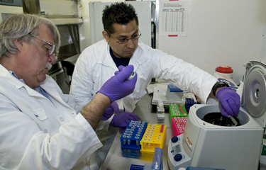 A pair of FDA scientists review samples in a lab.