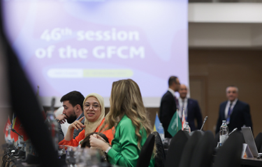 Attendees of the 45th session of the GFCM.