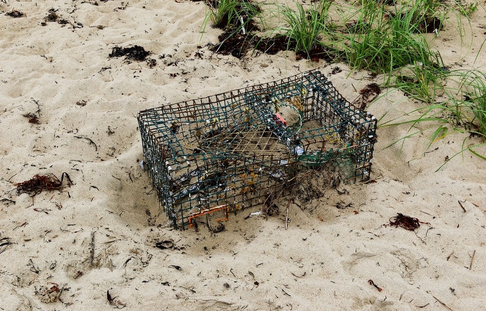 Massachusetts announces new marine debris cleanup regulations